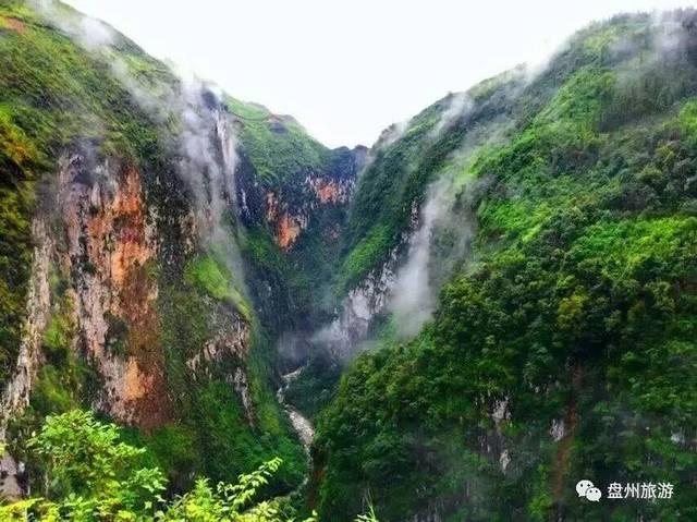 解锁吉鹿力问答社区,尽在如何炒蒜苔炒肉