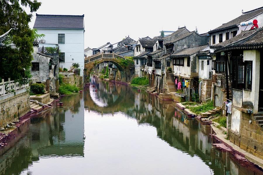 可爱兔子营救