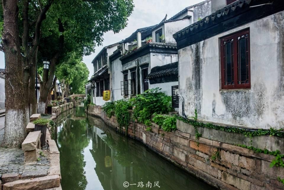 美国《发现》杂志：动物会有睡眠障碍吗